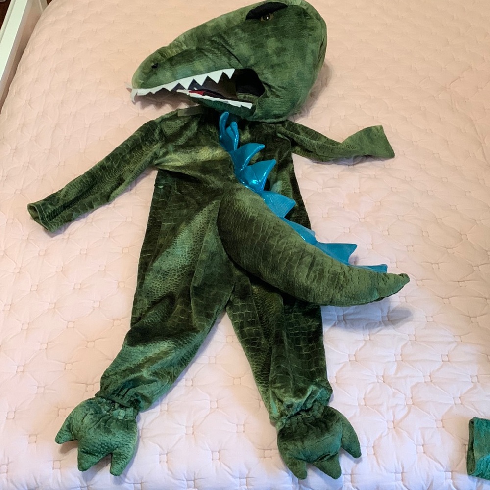 Boys Dinosaur Halloween Costume